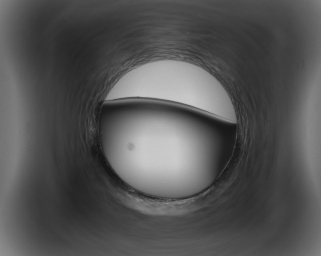 X0000086910040200704161019