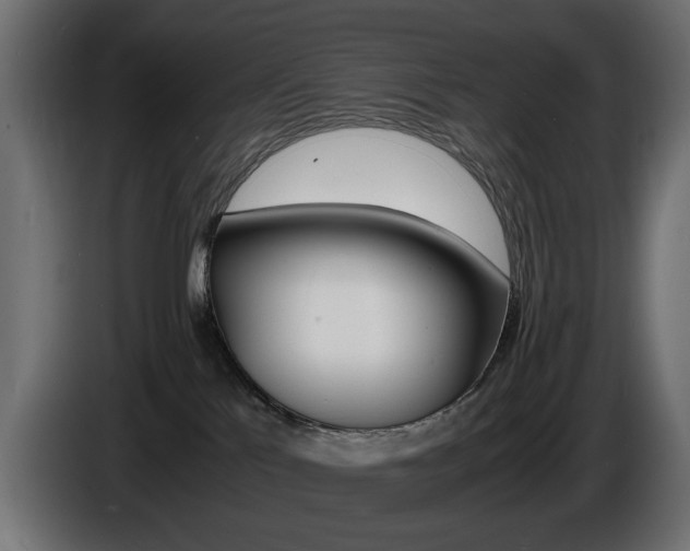 X0000086910041200704161019