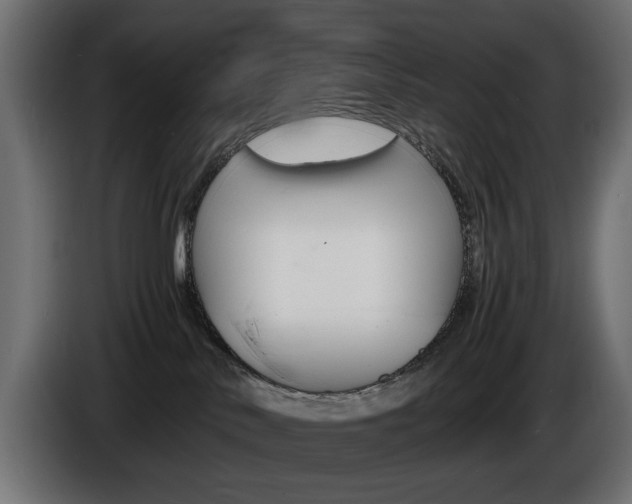 X0000086910042200704161019