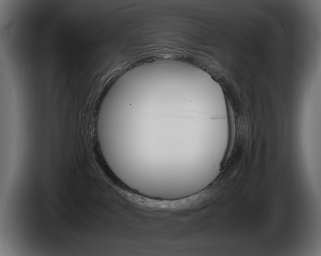 X0000086910043200704161019