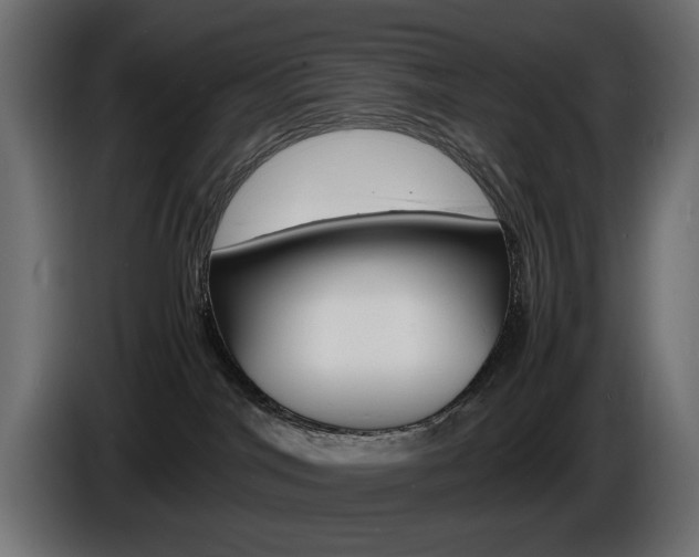 X0000086910044200704161019