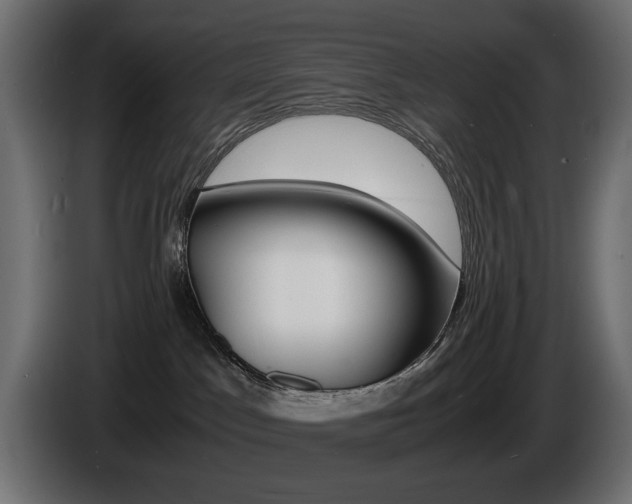 X0000086910045200704161019