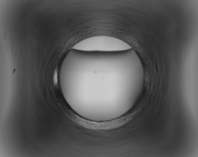 X0000086910046200704161019