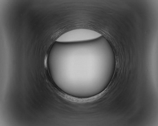 X0000086910047200704161019