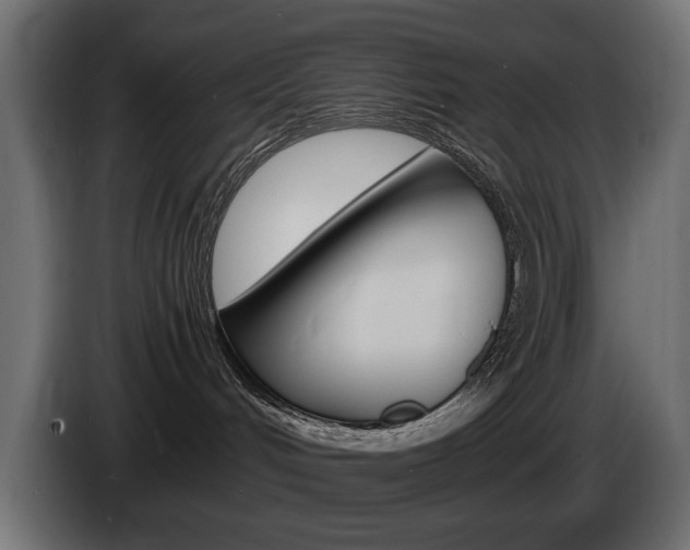X0000086910048200704161019