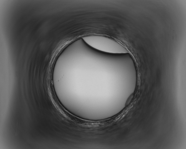 X0000086910049200704161018