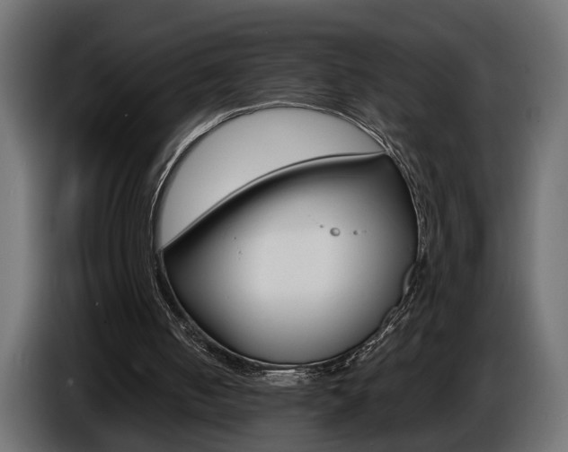 X0000086910050200704161018