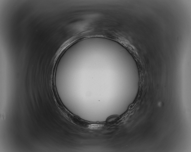 X0000086910051200704161018