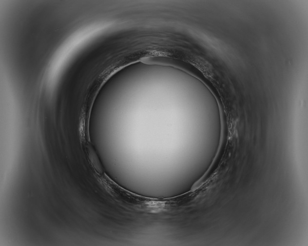 X0000086910052200704161018