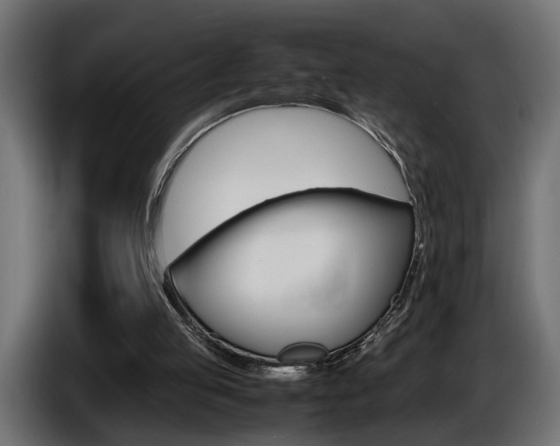 X0000086910053200704161018
