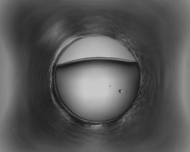 X0000086910054200704161018
