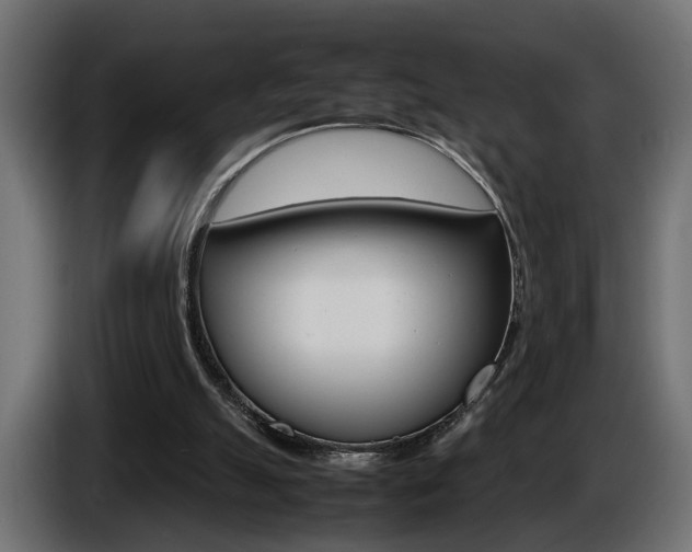X0000086910055200704161018