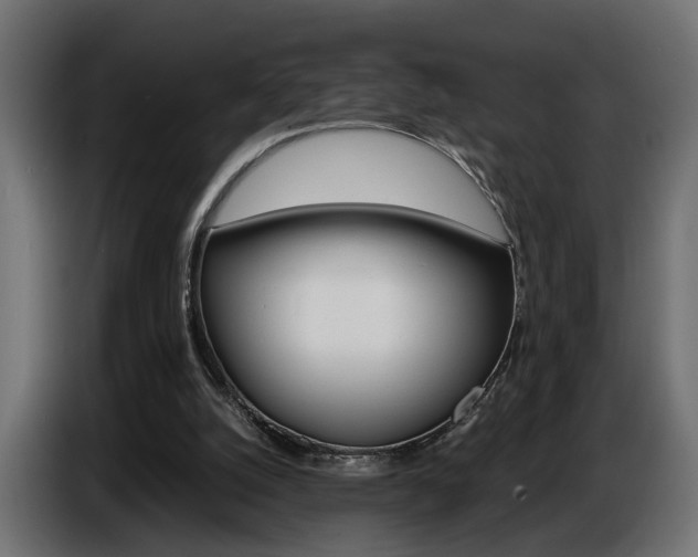 X0000086910056200704161018