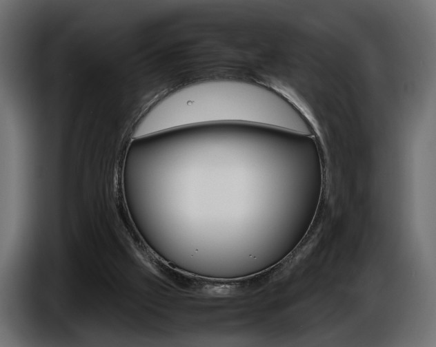 X0000086910057200704161018