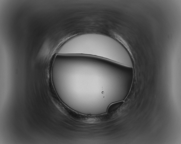 X0000086910059200704161018