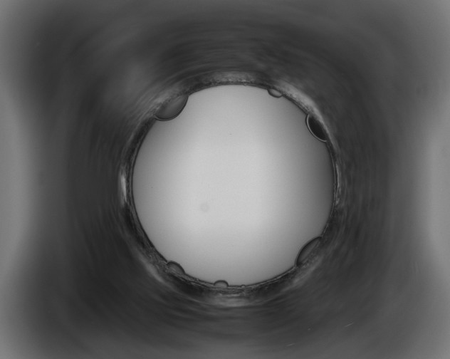 X0000086910061200704161018