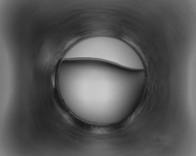 X0000086910062200704161018