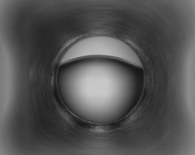X0000086910064200704161018