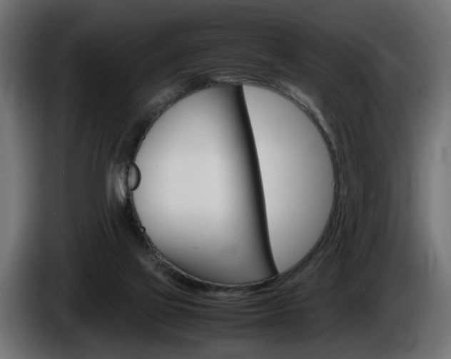 X0000086910069200704161018