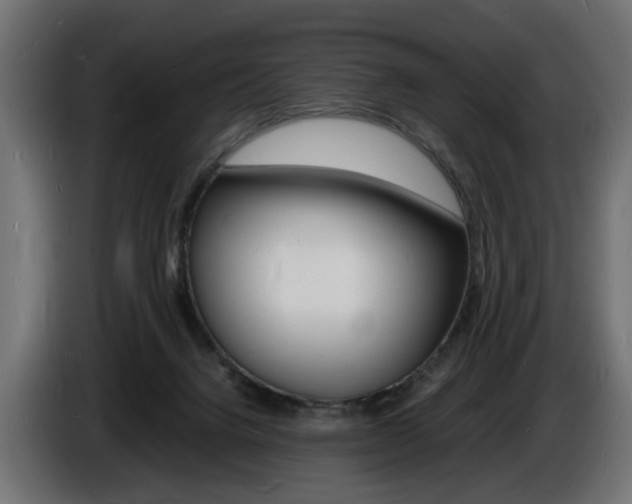 X0000086910072200704161018