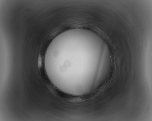 X0000086910075200704161018