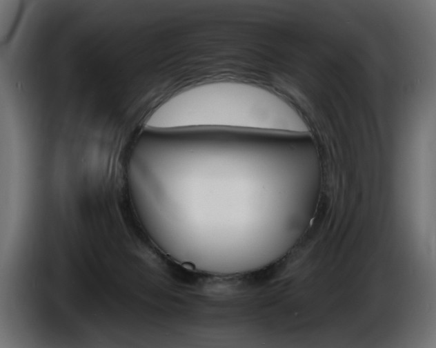 X0000086910077200704161018