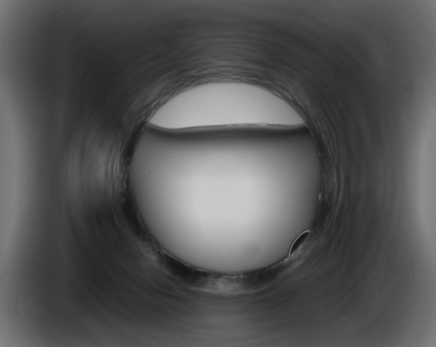 X0000086910078200704161018