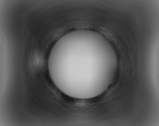 X0000086910079200704161018