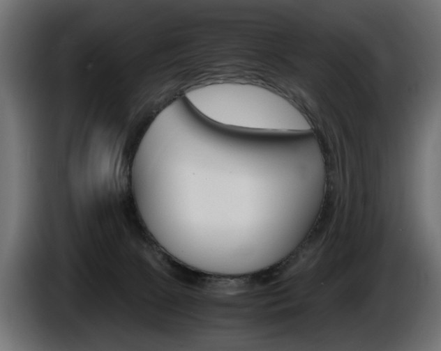 X0000086910081200704161018