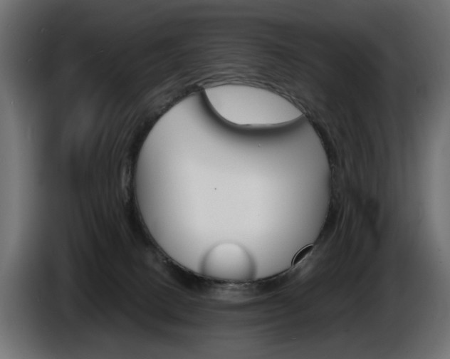 X0000086910082200704161019