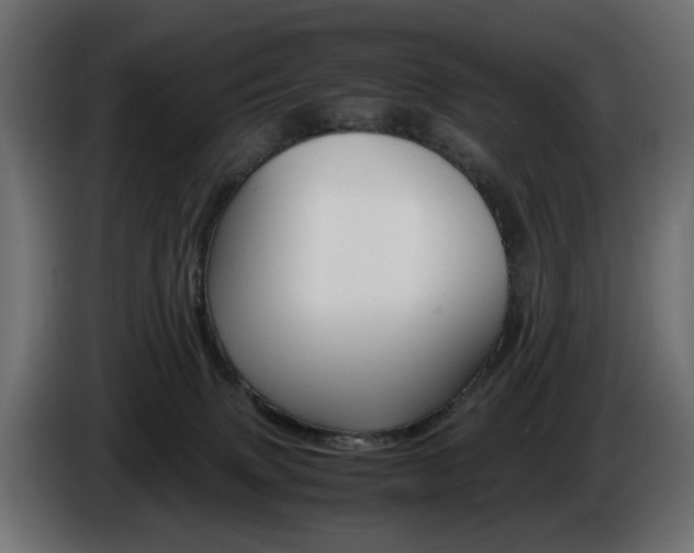X0000086910083200704161019