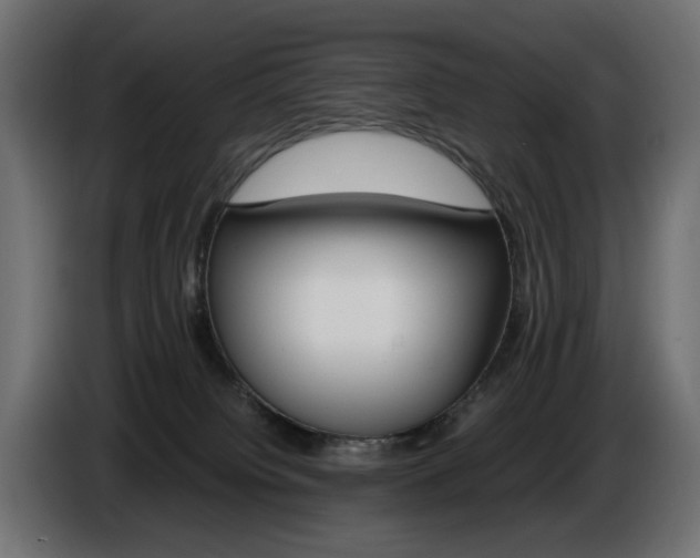 X0000086910084200704161019