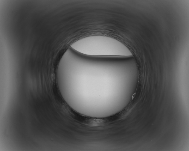 X0000086910085200704161019