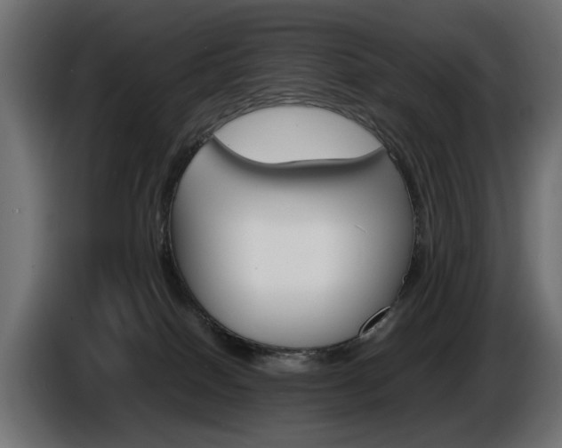 X0000086910086200704161019