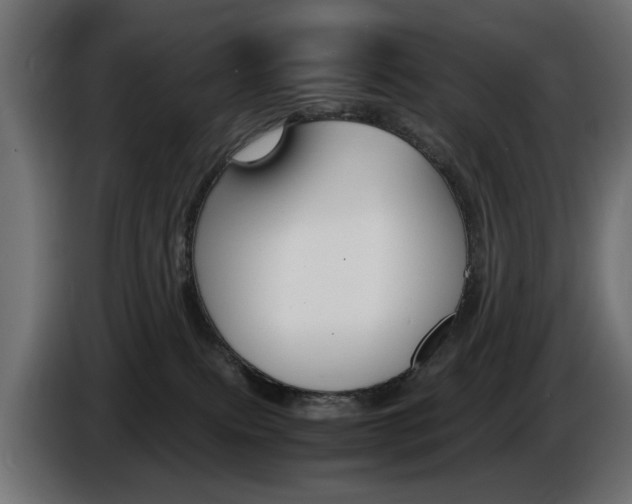 X0000086910087200704161019