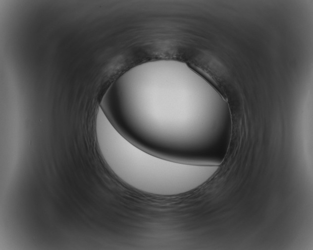 X0000086910088200704161019