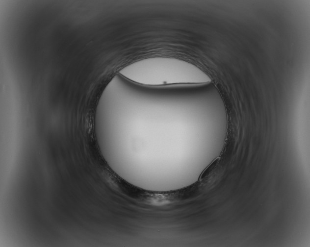 X0000086910091200704161019