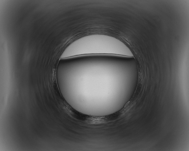 X0000086910093200704161019