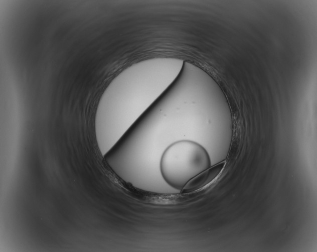 X0000086910094200704161019