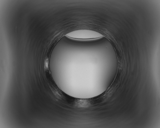 X0000086910095200704161019
