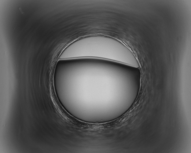 X0000086910097200704161018