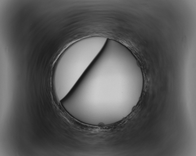 X0000086910098200704161018