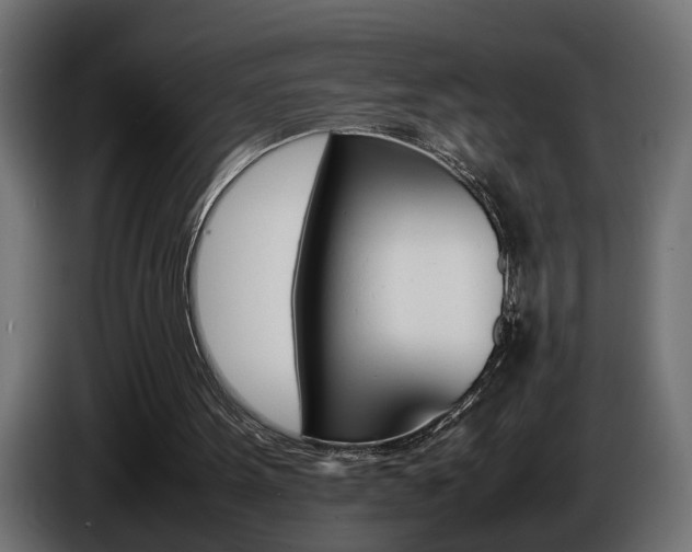 X0000086910099200704161018