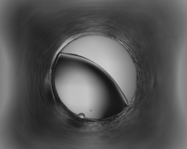 X0000086910100200704161018