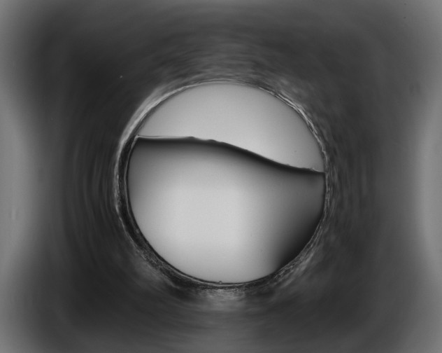 X0000086910102200704161018