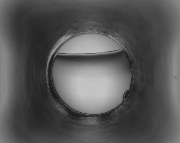 X0000086910104200704161018