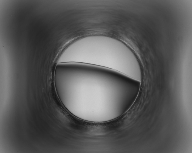 X0000086910107200704161018