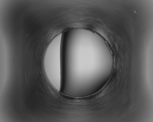 X0000086910109200704161018