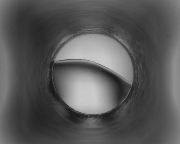 X0000086910111200704161018
