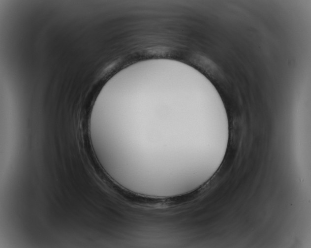 X0000086910116200704161018